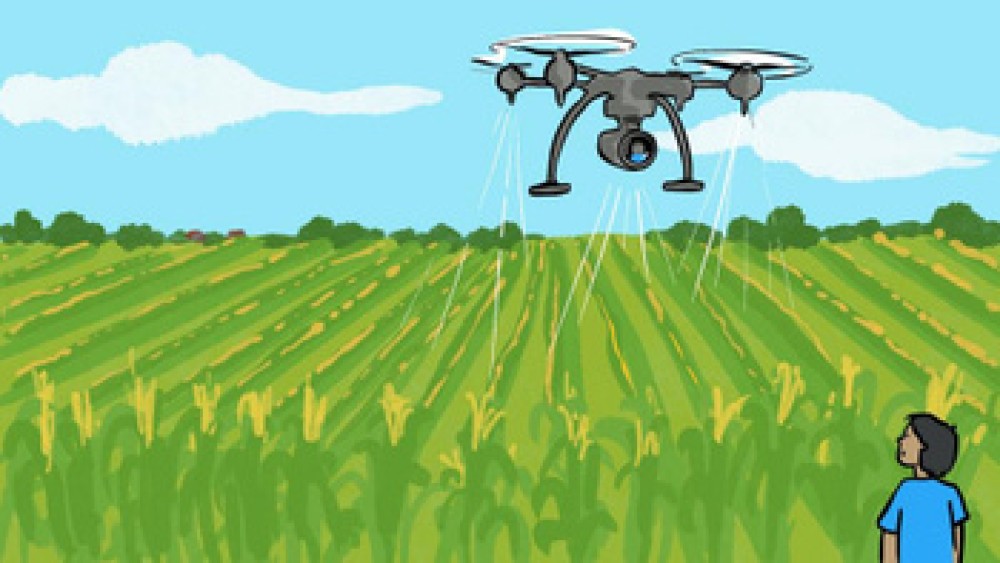 Challenges facing the digitization policies of food systems in Latin America: Inputs for thinking about collective strategies