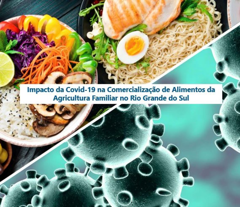 Impact of Covid-19 on the Marketing of Food from Family Farming in Rio Grande