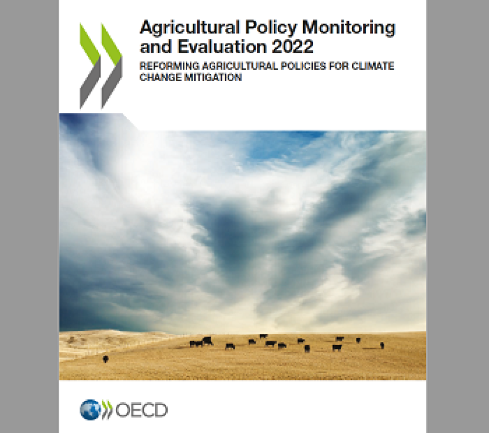 Monitoreo y evaluación de las políticas agrícolas 2022 (disponible solo en inglés)