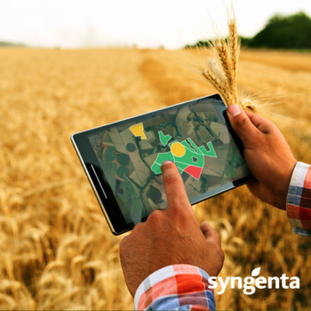 Madrid will host the International Digital Hub, Syngenta's new digital agriculture solutions center