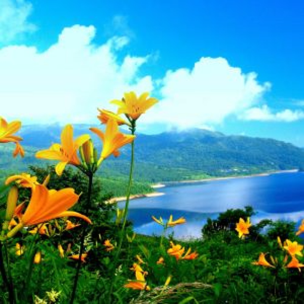 The World Bank Will Support Bolivian Producers to Increase Food Security and Market Access