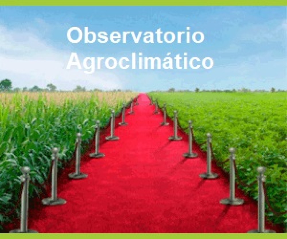 Observatorio Agroclimático de Chile