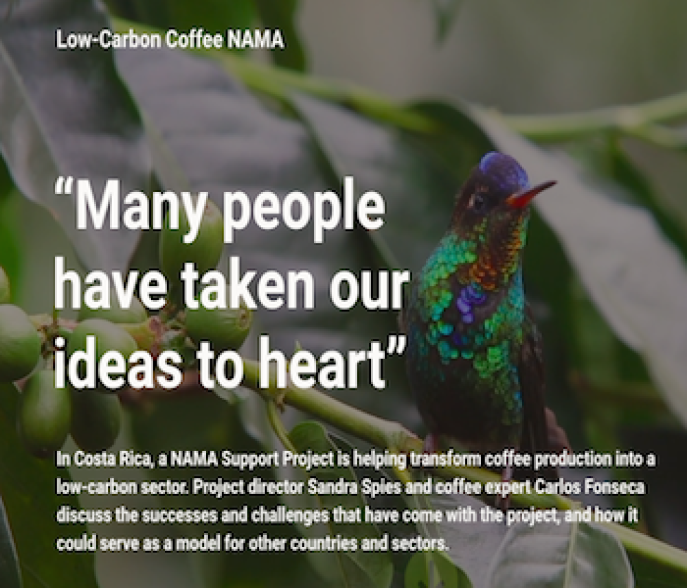 Low-Carbon Coffee NAMA