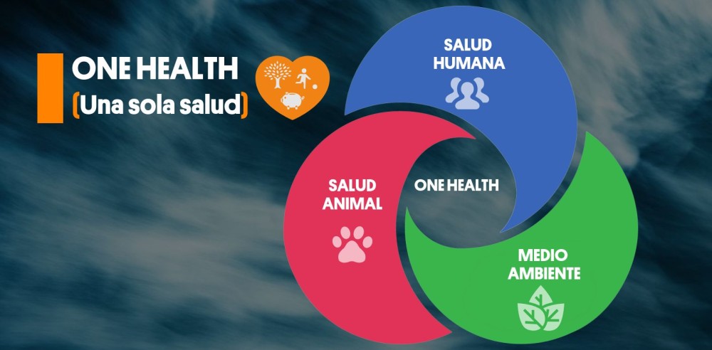 El PNUMA se une a la alianza para la iniciativa One Health