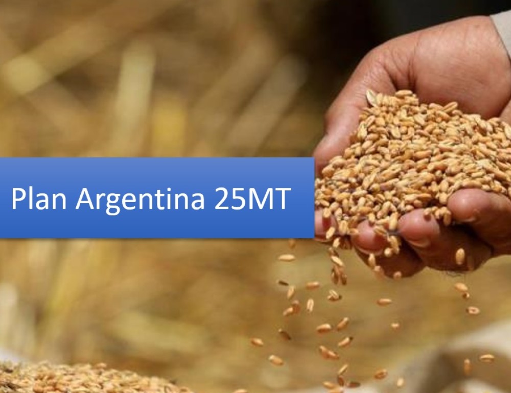 Plan "Argentina 25MT" (Resolución 113/2022)