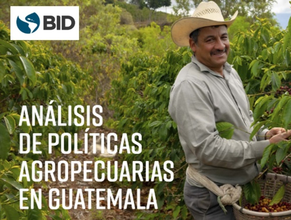 (ES) Análisis de políticas agropecuarias en Guatemala, 2009-2016