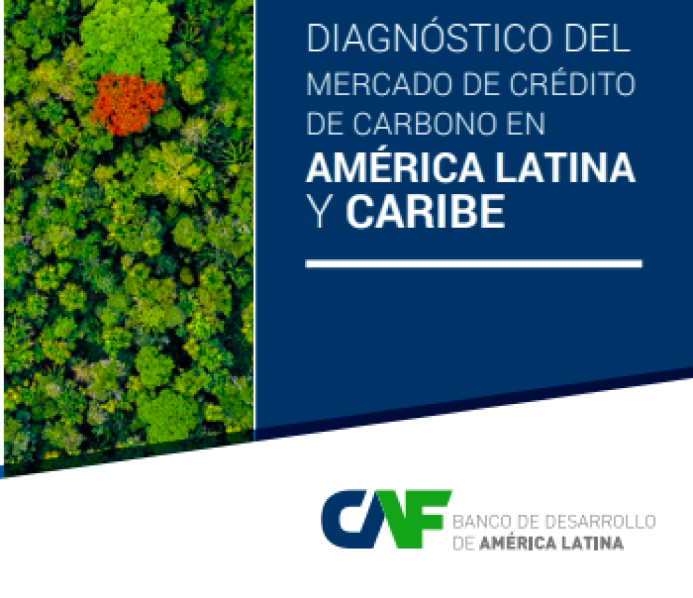 (ES) Diagnóstico del mercado de crédito de carbono en América Latina y el Caribe