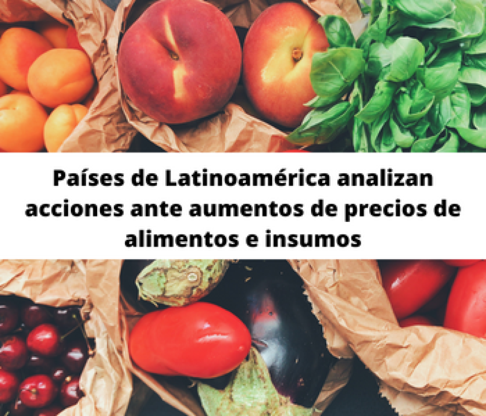 Países de Latinoamérica analizan acciones ante aumentos de precios de alimentos e insumos