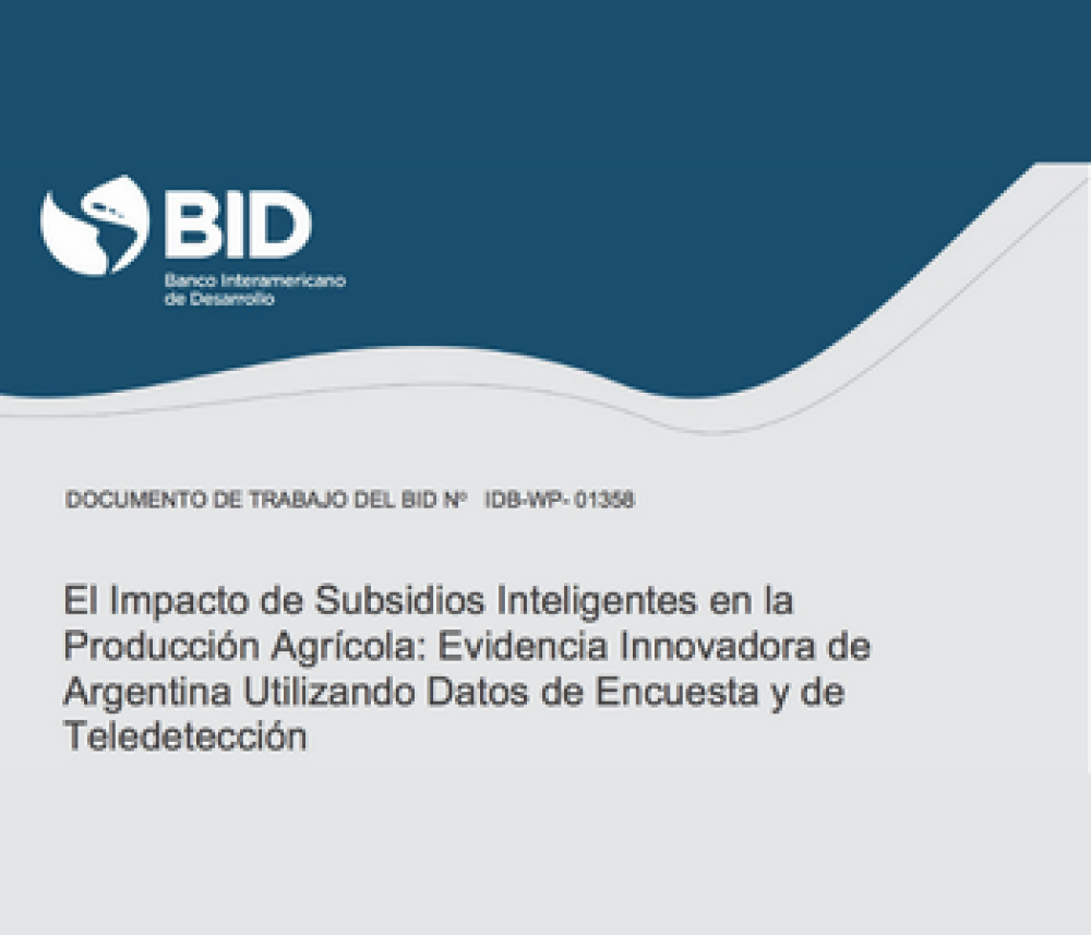 The impact of smart subsidies on agricultural production: innovative evidence from Argentina using survey and remote sensing data