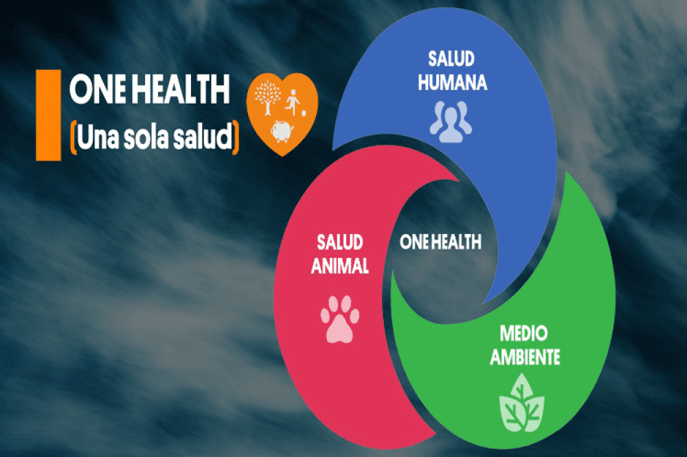 UNEP joins alliance to implement One Health approach