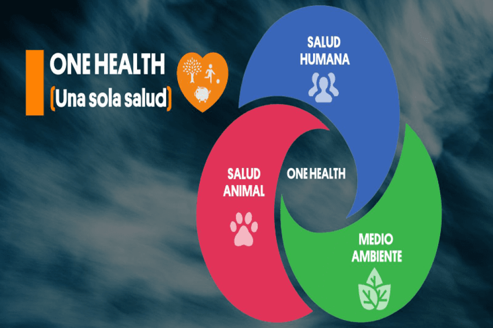 El PNUMA se une a la alianza para implementar el enfoque One Health