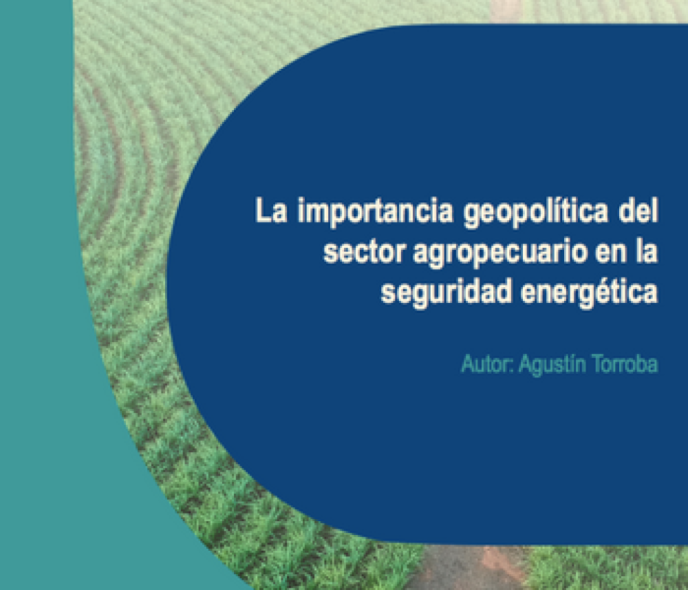 The geopolitical importance of the agricultural sector in energy security