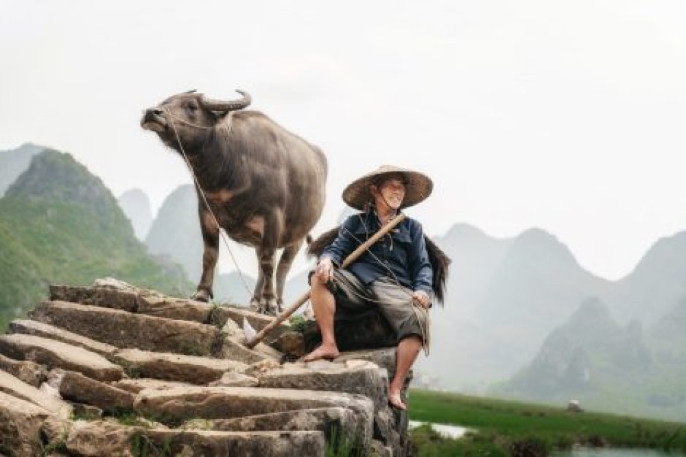 Tripartite and UNEP support OHHLEP’s definition of “One Health”