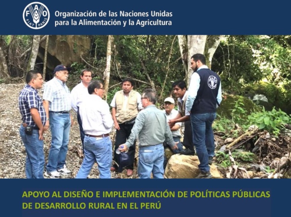 (ES) Apoyo al Diseño e Implementación de Políticas Públicas de Desarrollo Rural en el Perú