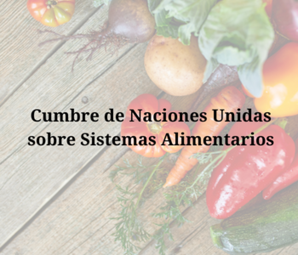 Cumbre de Naciones Unidas sobre Sistemas Alimentarios 2021