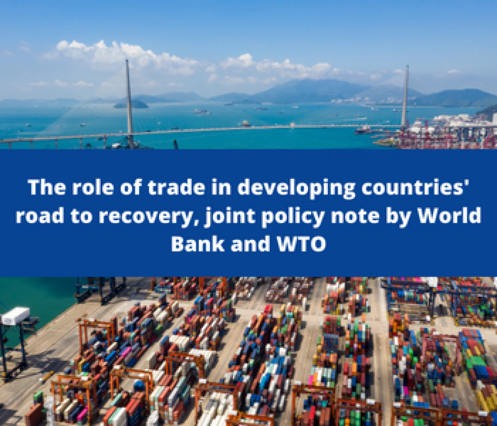 The role of trade in developing countries road to recovery