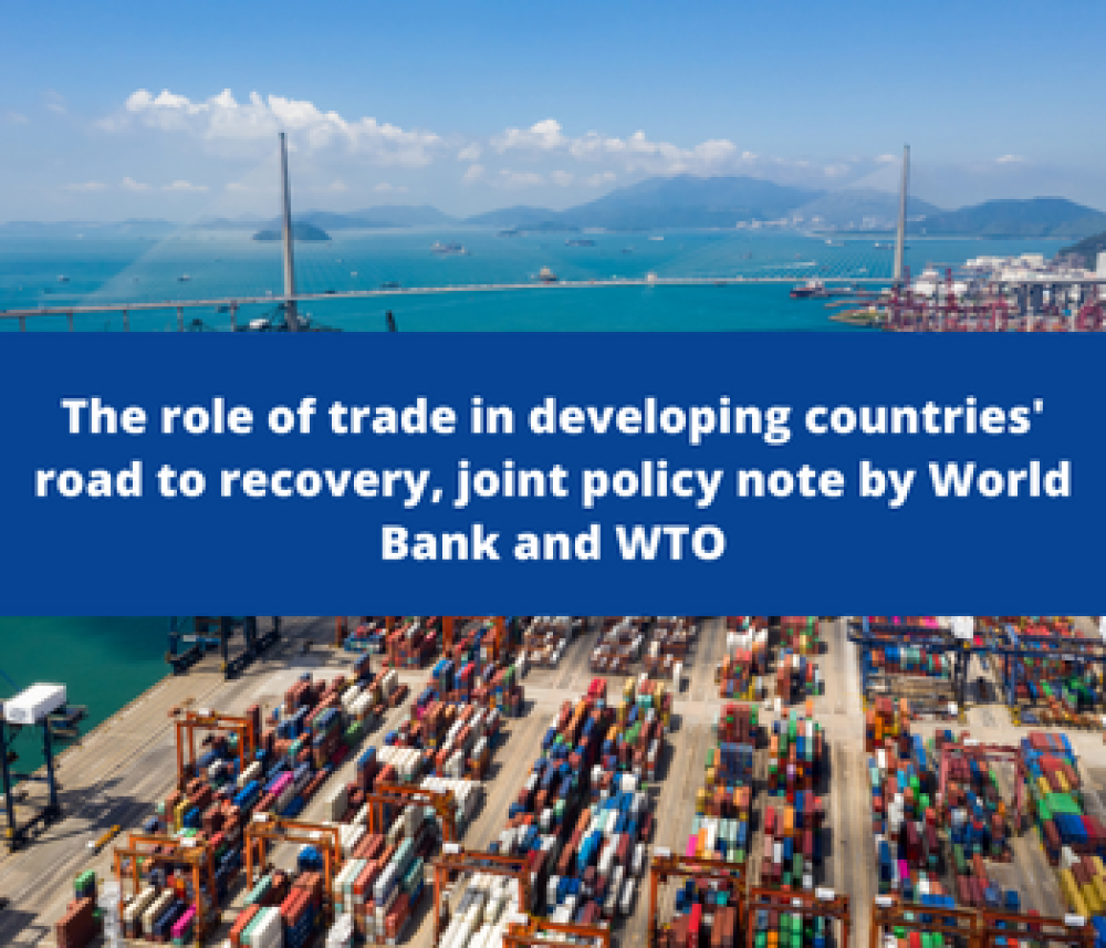 The role of trade in developing countries' road to recovery