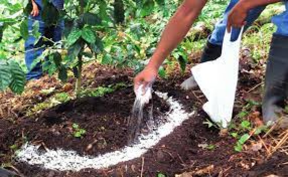 Methodology for the analysis of policy alternatives to face conditions in the fertilizer market in Latin American countries