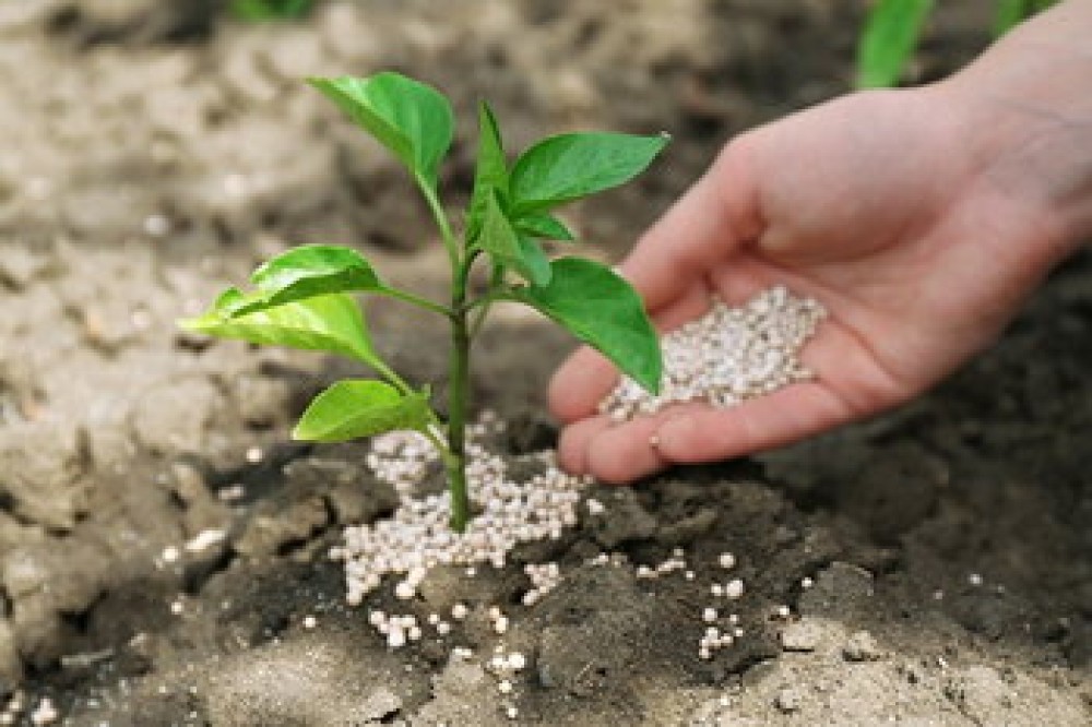 Respuestas a las preguntas clave sobre los fertilizantes y su precio