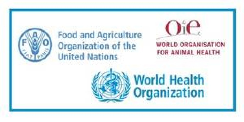 La colaboración FAO-OMSA-OMS