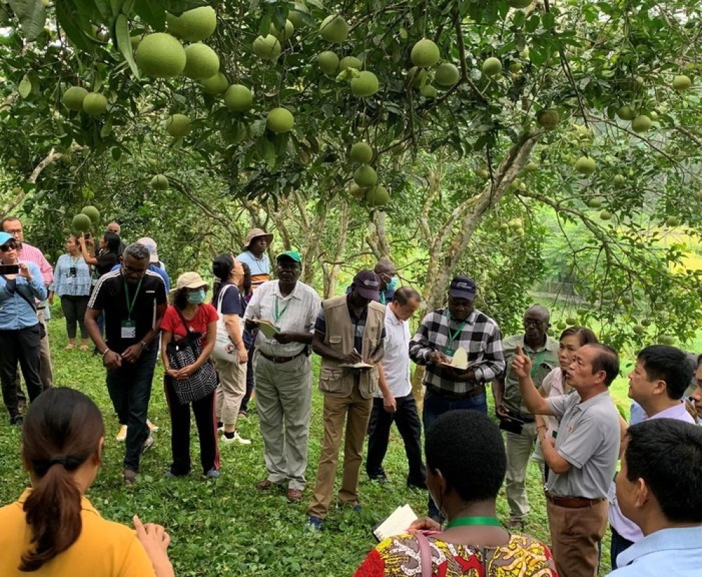 Diversification for climate resilience: a global priority