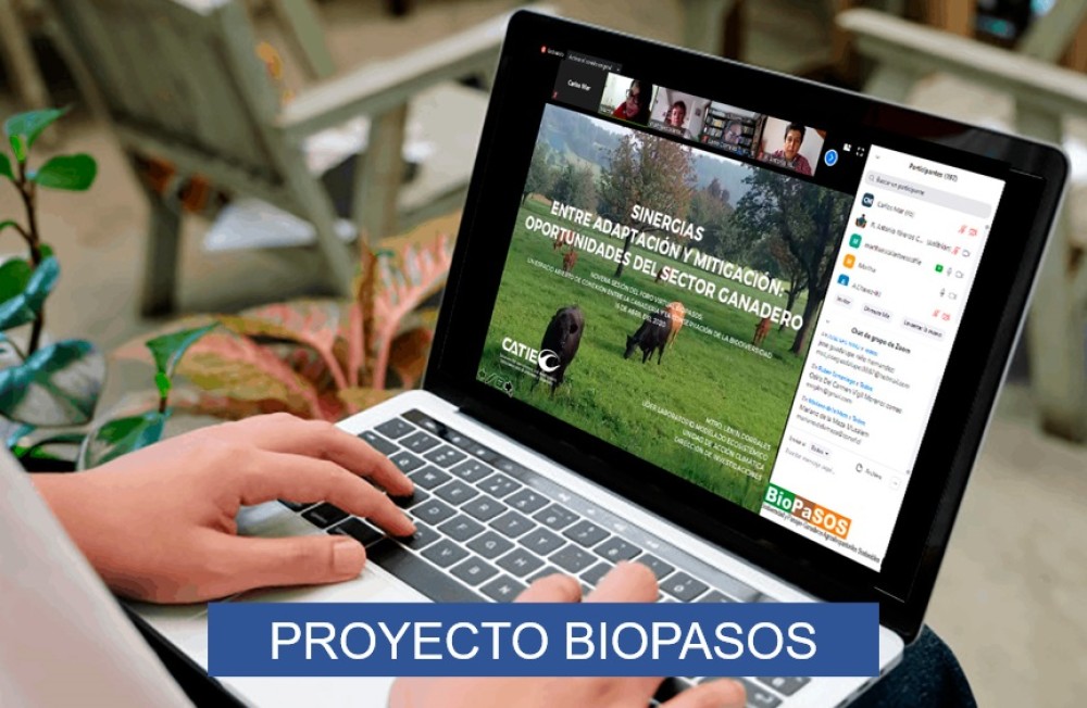 Proyecto BIOPASOS