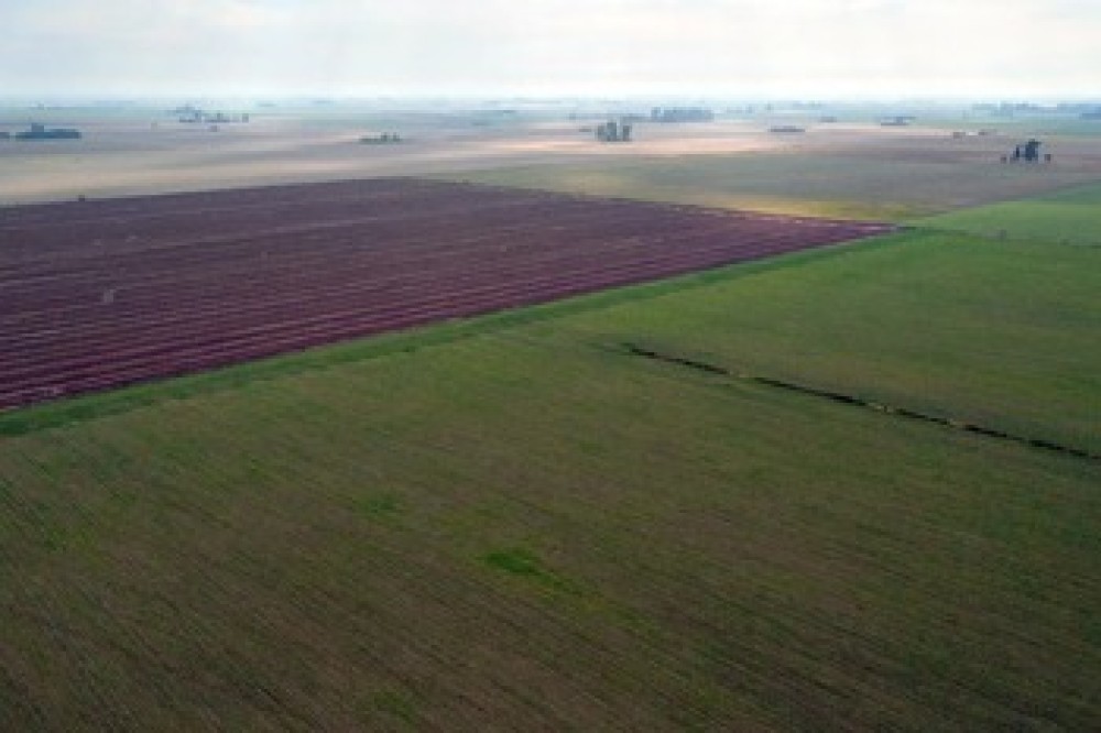 La sequía y los altos precios recortan el consumo de fertilizantes en Argentina