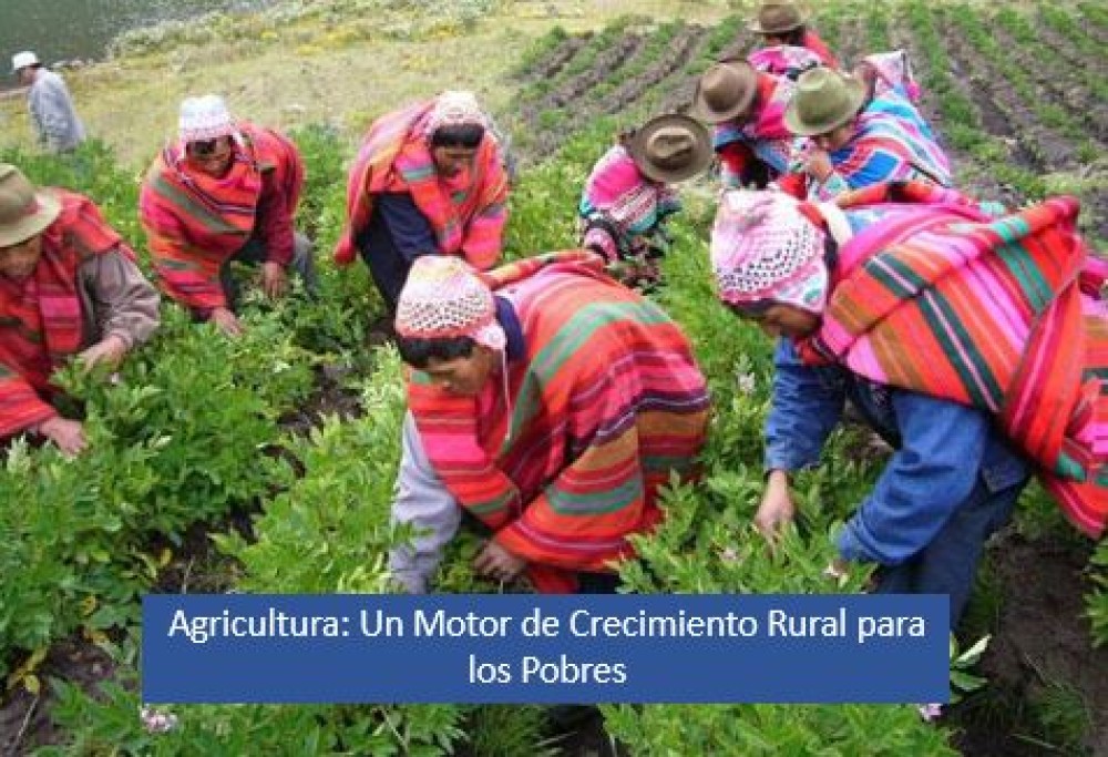 Agricultura: Un Motor de Crecimiento Rural para los Pobres