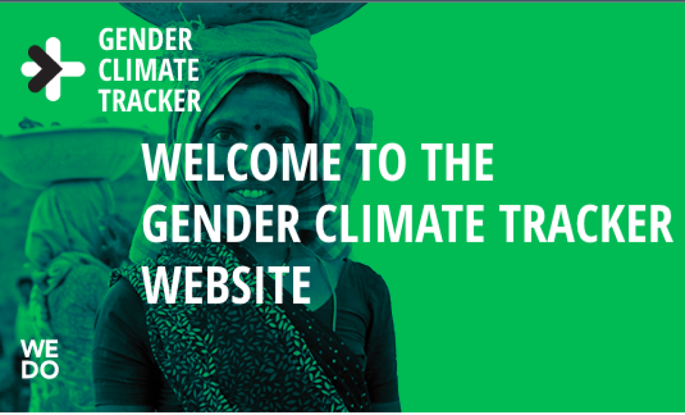 Gender Climate Tracker