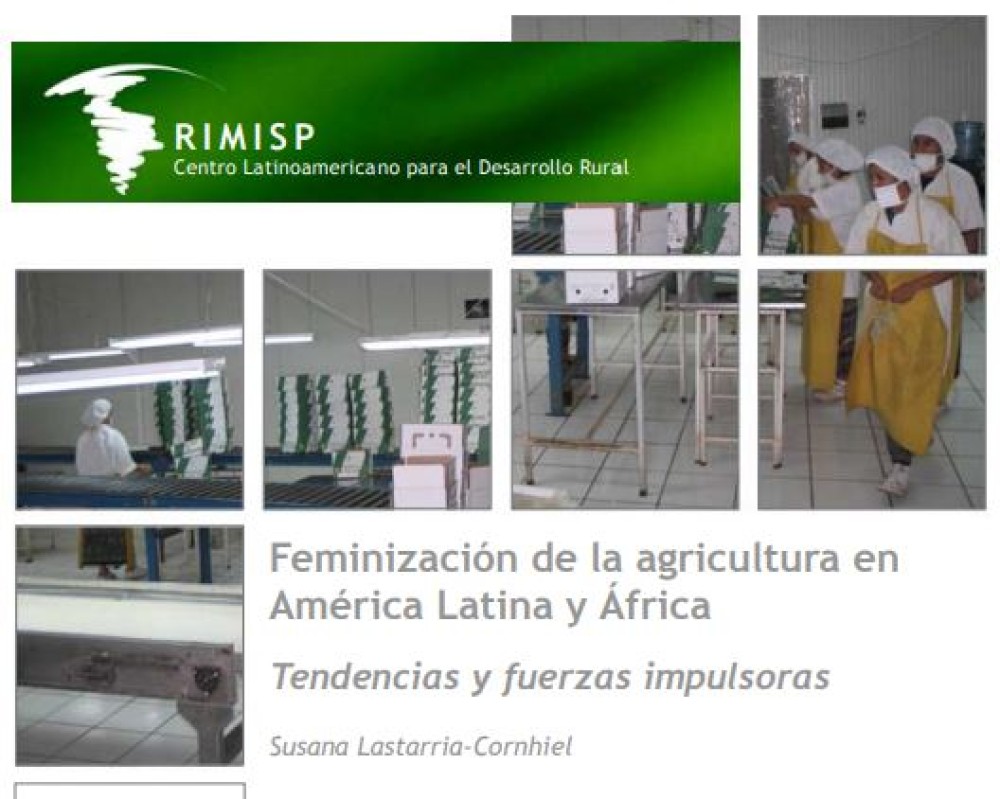 Feminización de la agricultura en América Latina y África: Tendencias y fuerzas impulsoras