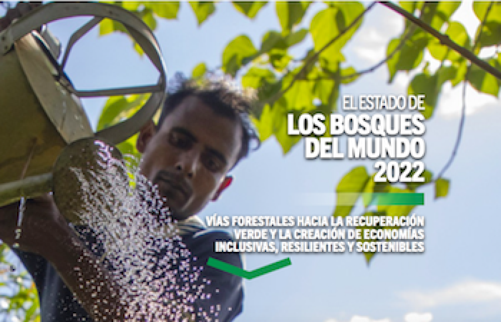 (ES) El estado de los bosques del mundo (SOFO) 2022