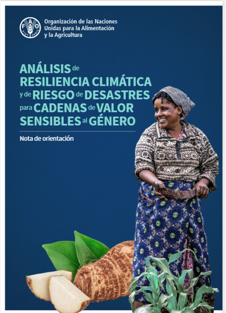 Análisis de resiliencia climática y de riesgo de desastres para cadenas de valor sensibles al género - Nota de orientación