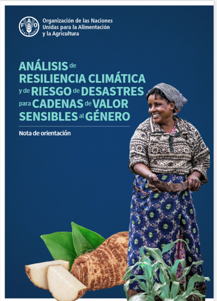(ES) Análisis de resiliencia climática y de riesgo de desastres para cadenas de valor sensibles al género - Nota de orientación