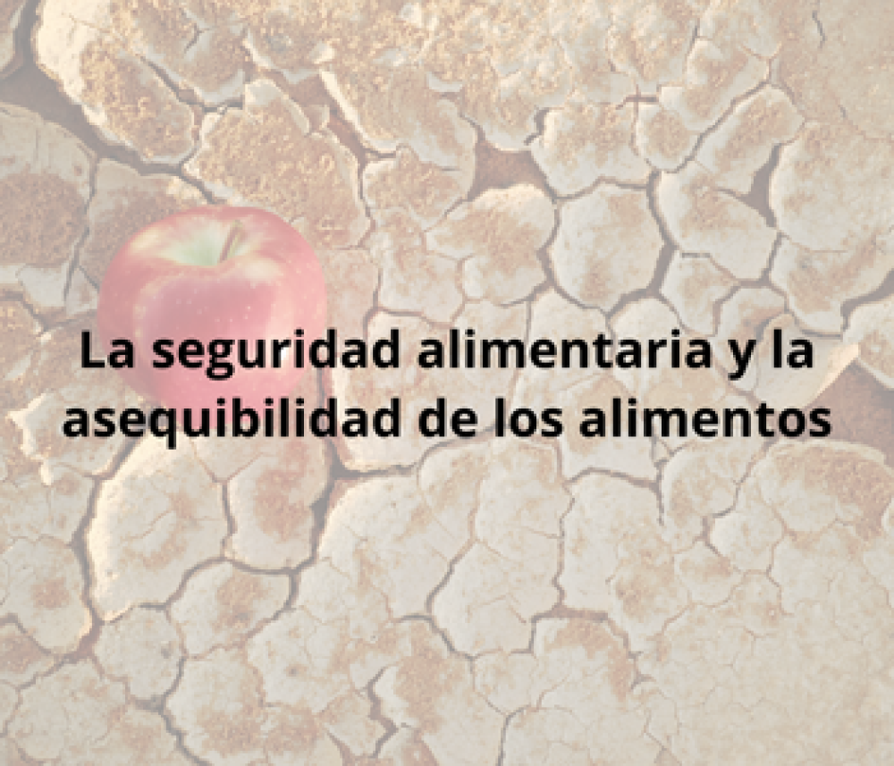 La seguridad alimentaria y la asequibilidad de los alimentos