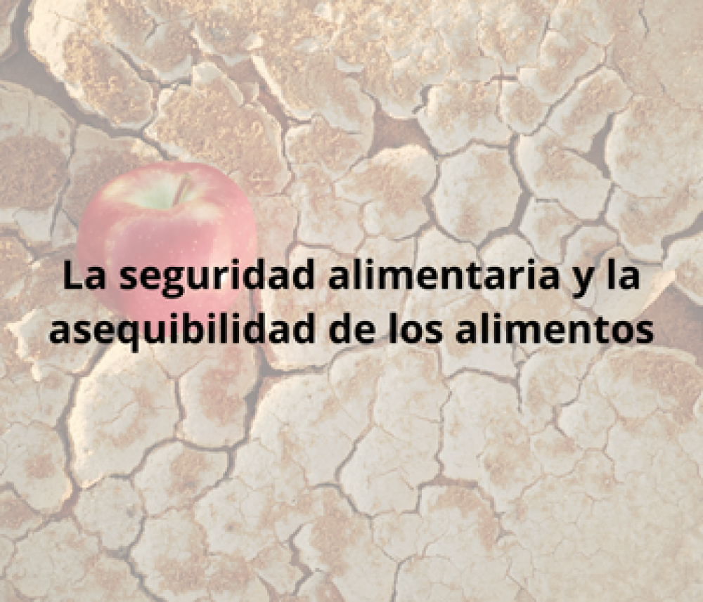 (ES) La seguridad alimentaria y la asequibilidad de los alimentos
