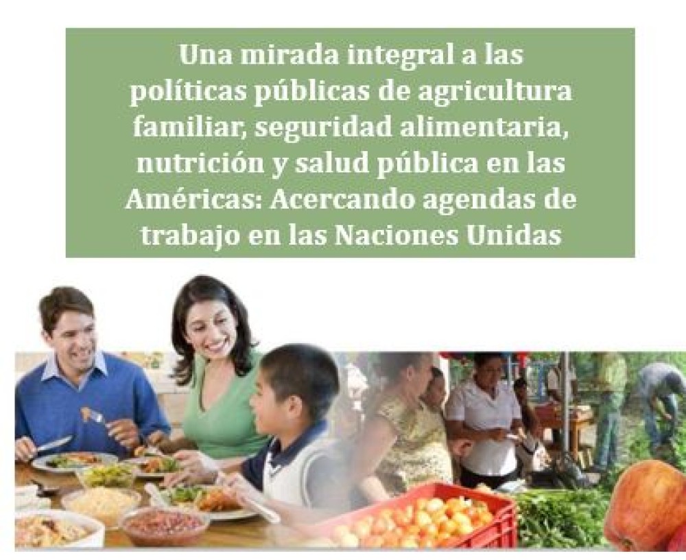 Una mirada integral a las políticas públicas de agricultura familiar, seguridad alimentaria, nutrición y salud pública en las Américas: Acercando agendas de trabajo en las Naciones Unidas