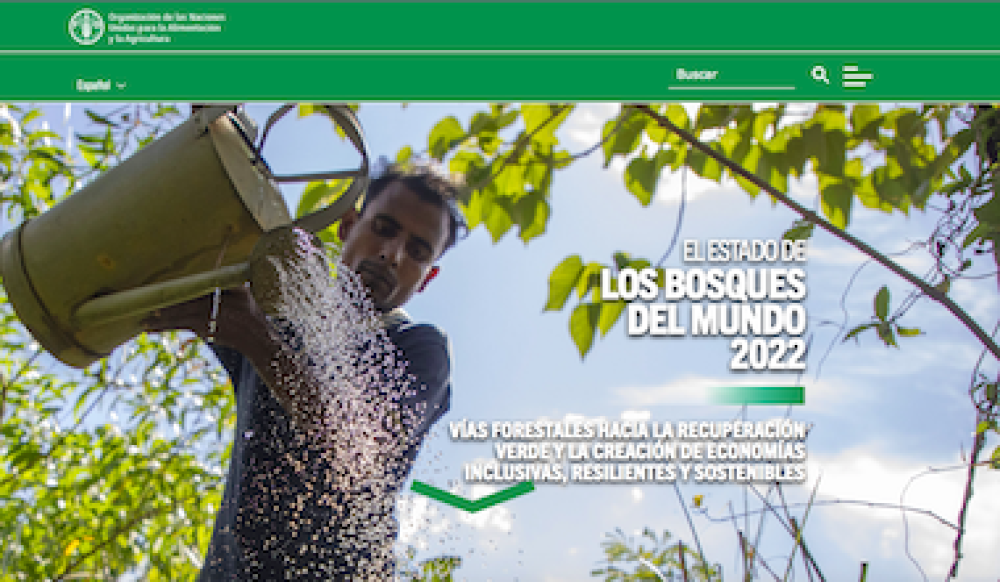 (ES) El estado de los bosques del mundo (SOFO) 2022