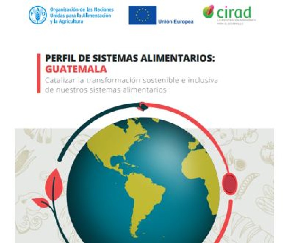 (ES) Perfil de Sistemas Alimentarios: Guatemala