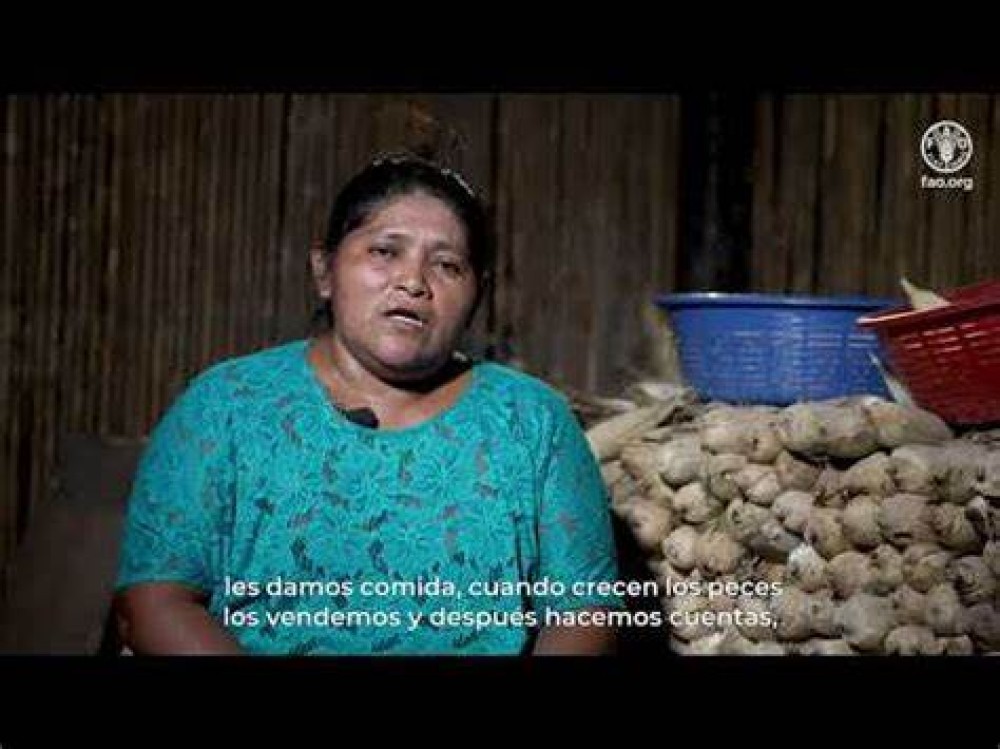 Empoderamiento económico de mujeres rurales en Alta Verapaz, Guatemala