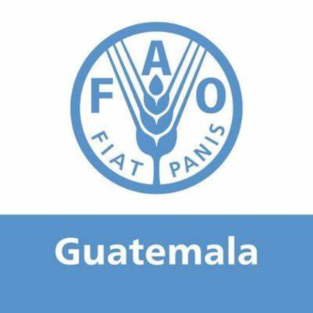 Marco de Programación de País (MPP) 2022-2025 - FAO/Guatemala