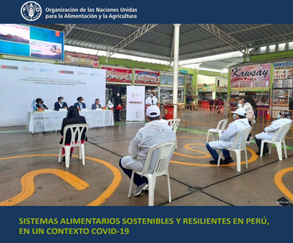 Sistemas Alimentarios Sostenibles y Resilientes en Perú, en un Contexto Covid-19