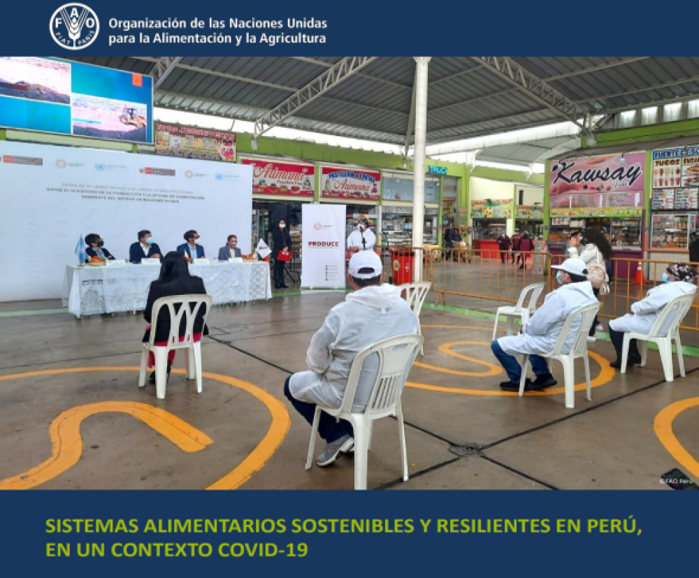(ES) Sistemas Alimentarios Sostenibles y Resilientes en Perú, en un Contexto Covid-19