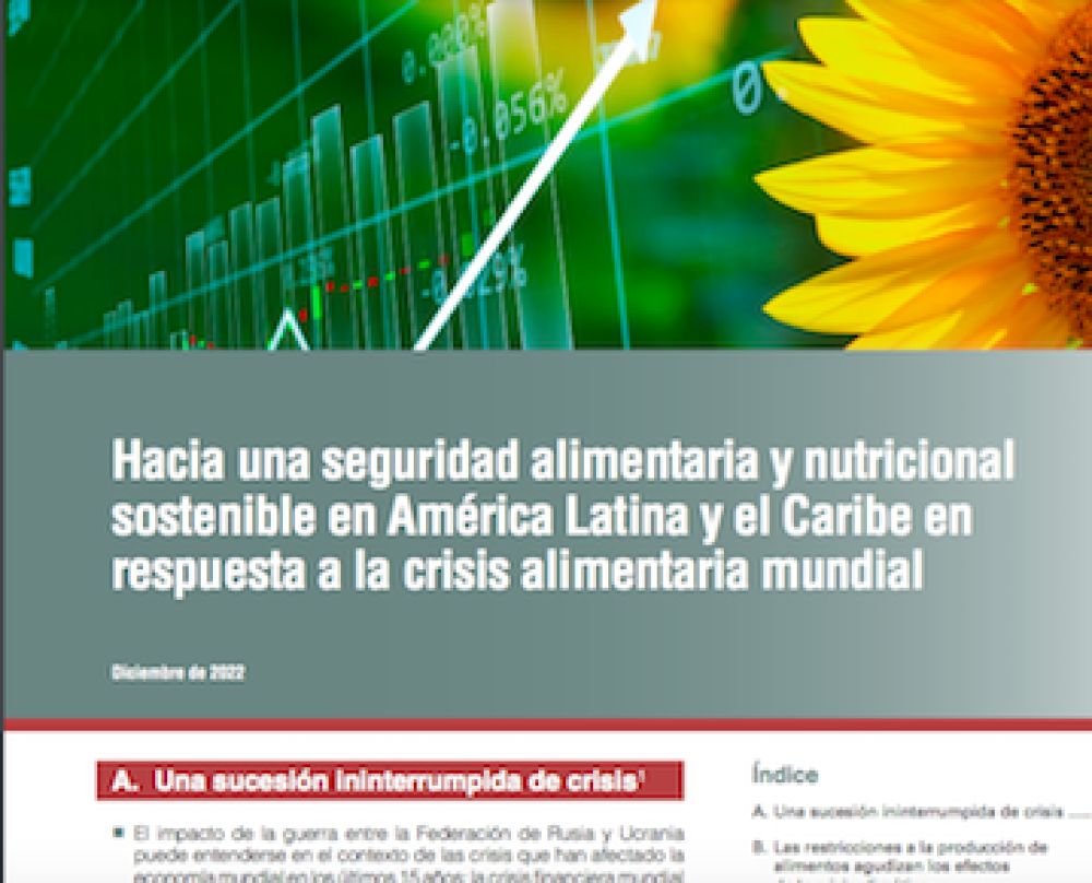 Hacia una seguridad alimentaria y nutricional sostenible en América Latina y el Caribe en respuesta a la crisis alimentaria mundial