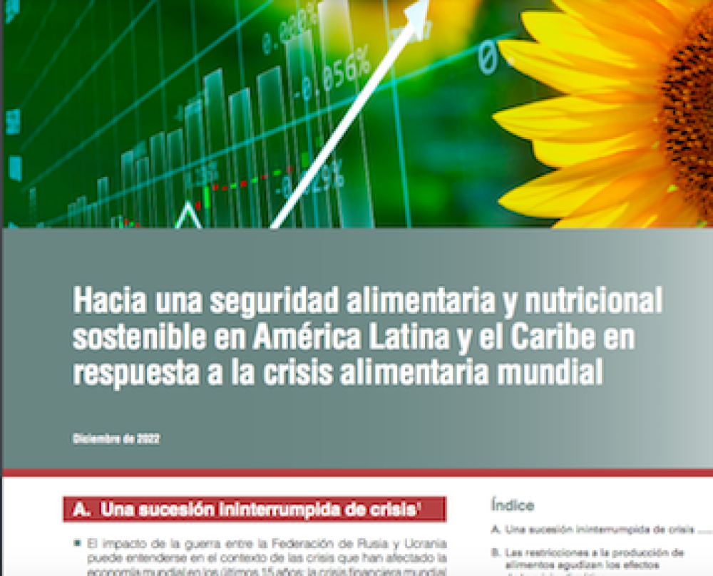 (ES) Hacia una seguridad alimentaria y nutricional sostenible en América Latina y el Caribe en respuesta a la crisis alimentaria mundial