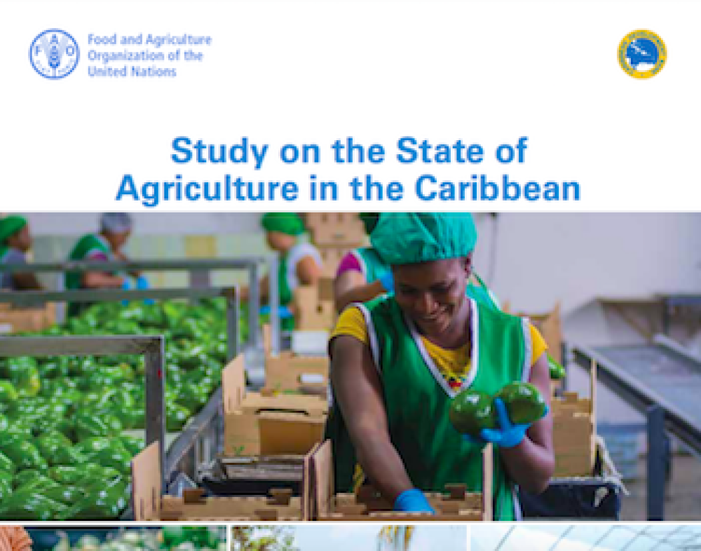 Estudio de la FAO sobre el estado de Agricultura en el Caribe