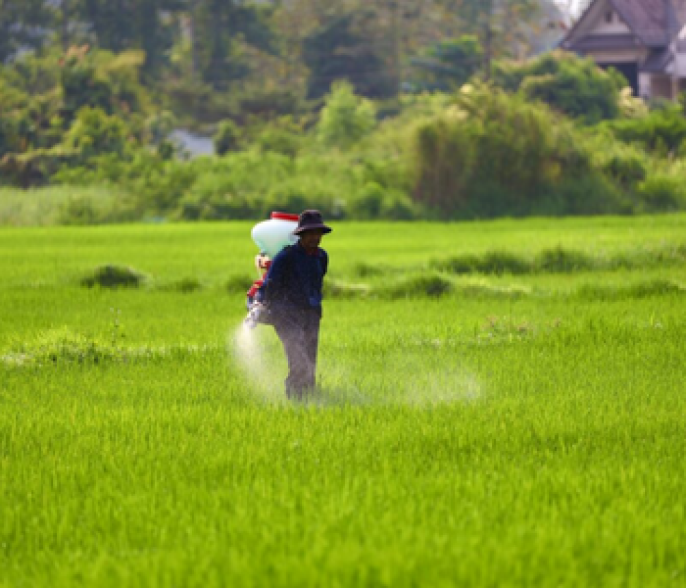 Foro Mundial de la Alimentación pide mantener abierto el comercio de fertilizantes