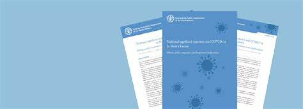 Sistemas agroalimentarios nacionales y COVID-19 en Guatemala Efectos, respuestas, políticas e implicaciones a largo plazo.