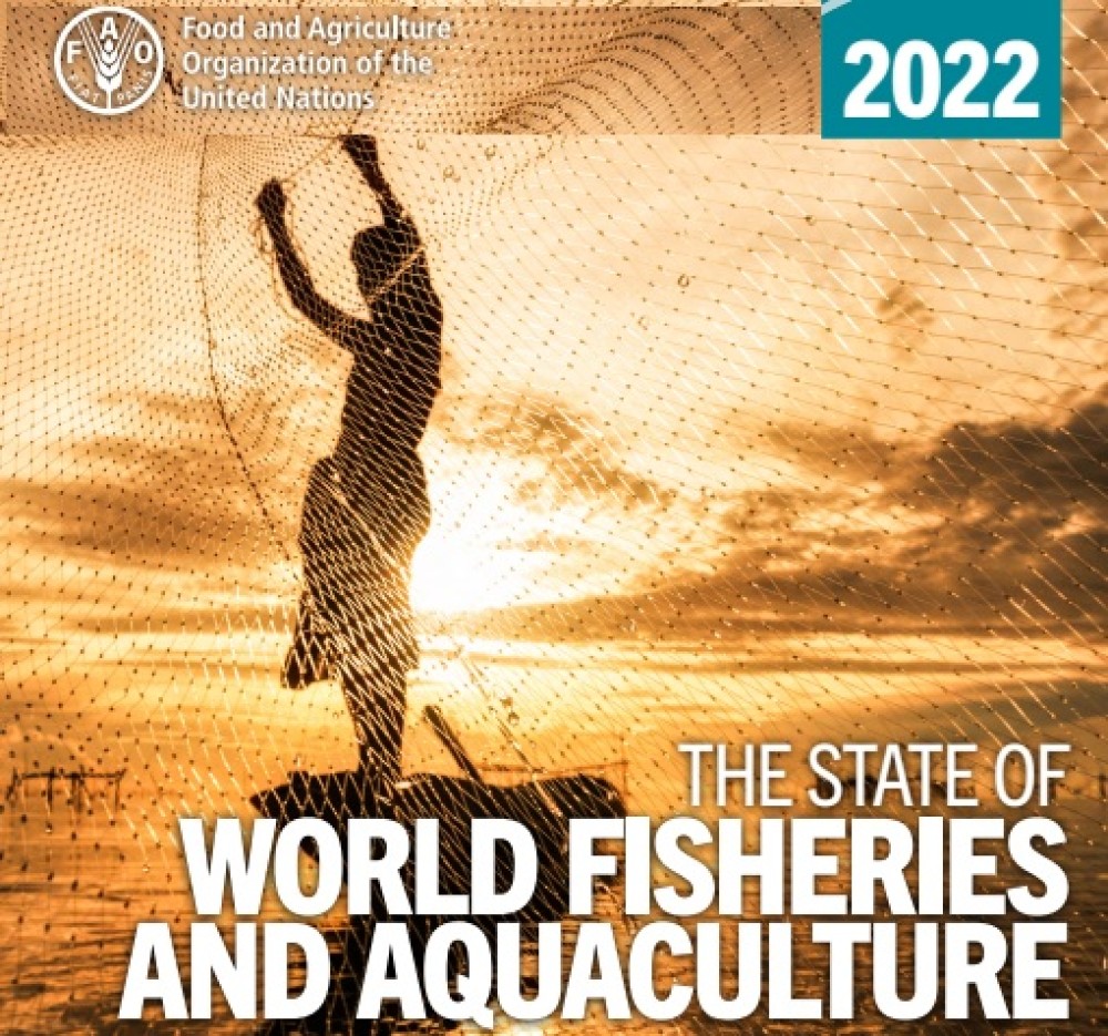 (ES) El Estado Mundial de la Pesca y la Acuicultura 2022 (SOFIA). Hacia la Transformación Azul