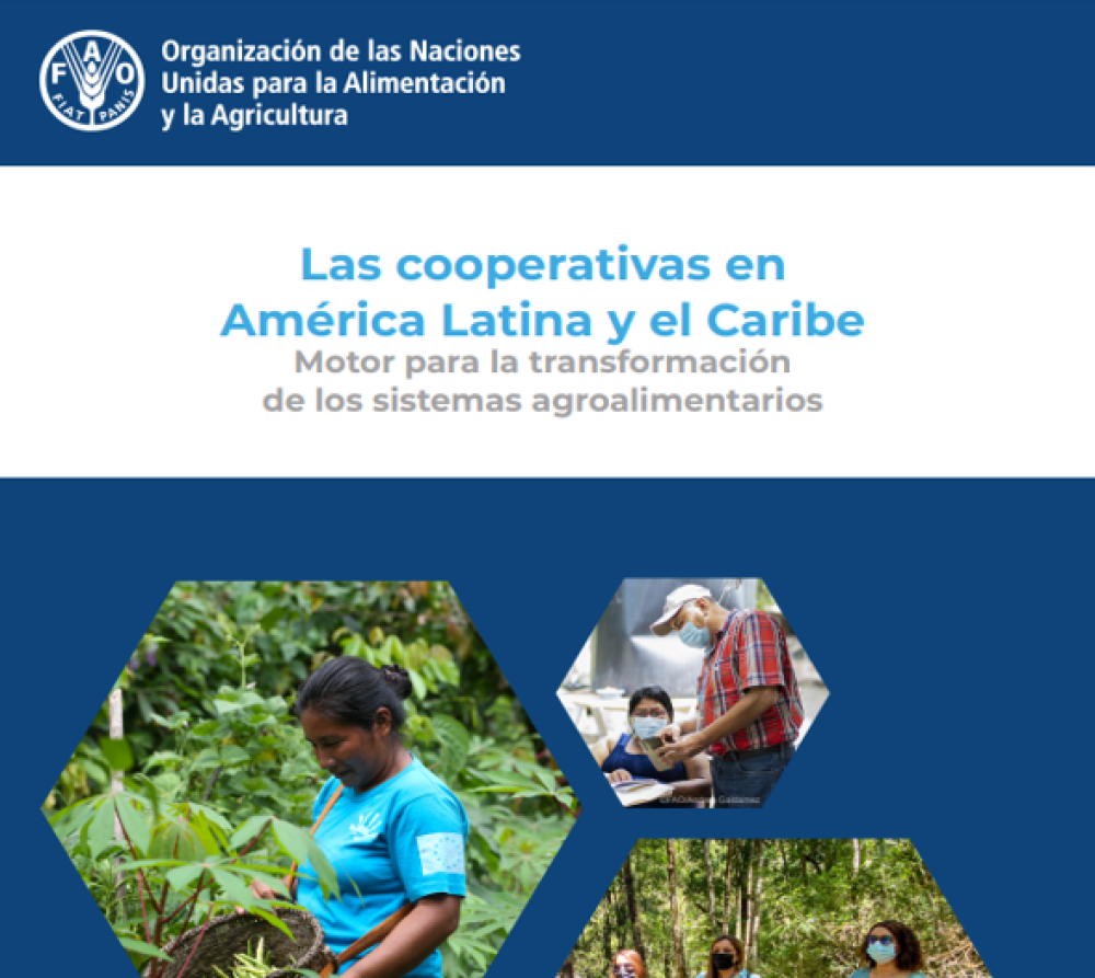 Las Cooperativas en América Latina y el Caribe