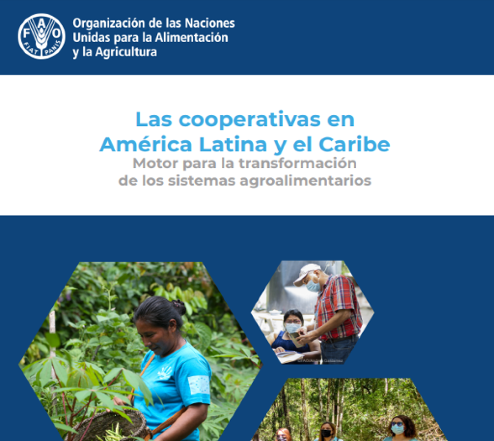 (ES) Las Cooperativas en América Latina y el Caribe